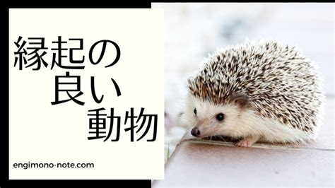 風水 動物|縁起の良い動物一覧 – 幸運を引き寄せる動物たち 